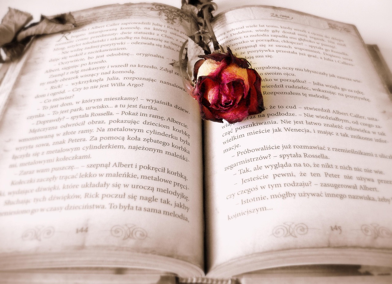 Wattpad sites: As melhores plataformas alternativas para ler histórias