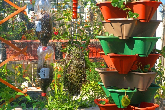 Como montar uma horta vertical em espaços reduzidos