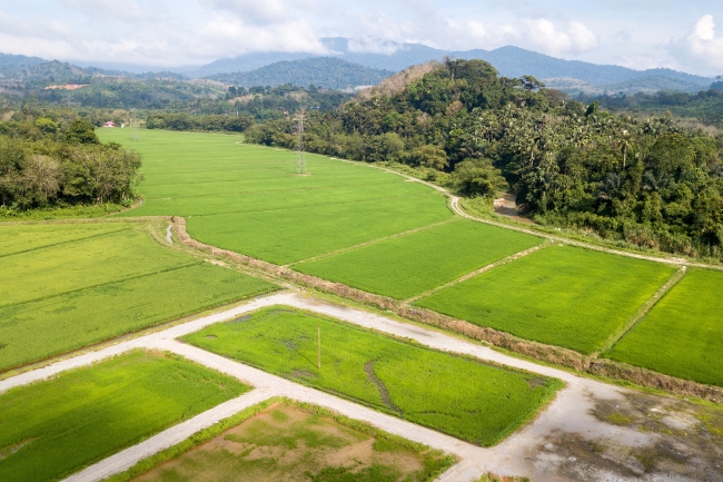 Quer Alugar Terreno Vazio? Descubra as Melhores Formas de Monetizar Seu Espaço
