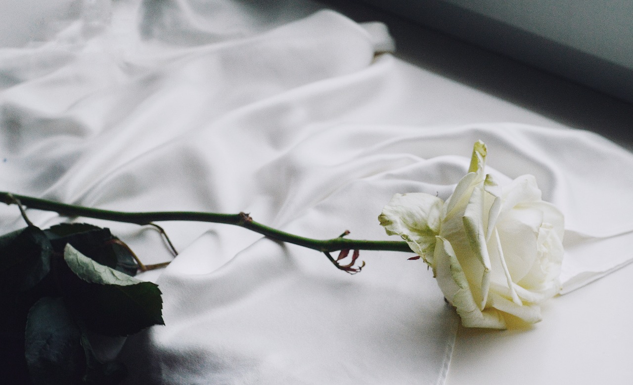 Filmes de romance antigos: 10 clássicos para ver e se emocionar