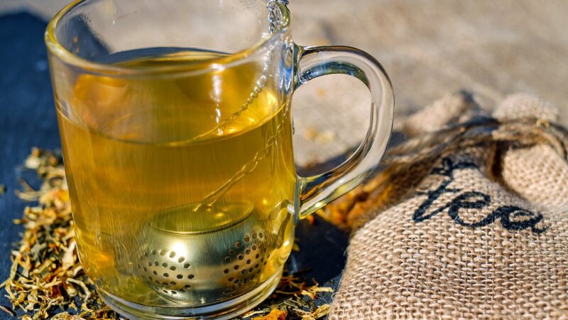Melhores bares em Belém: 10 opções para sua noite perfeita