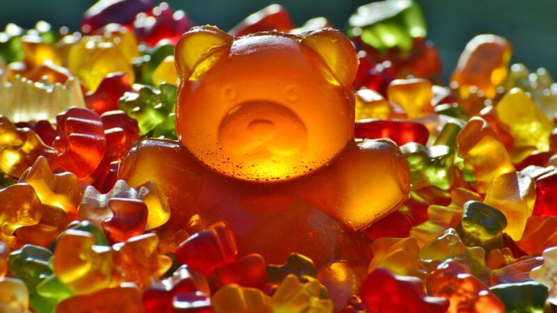 Carmy The Bear: Tudo sobre o protagonista da série