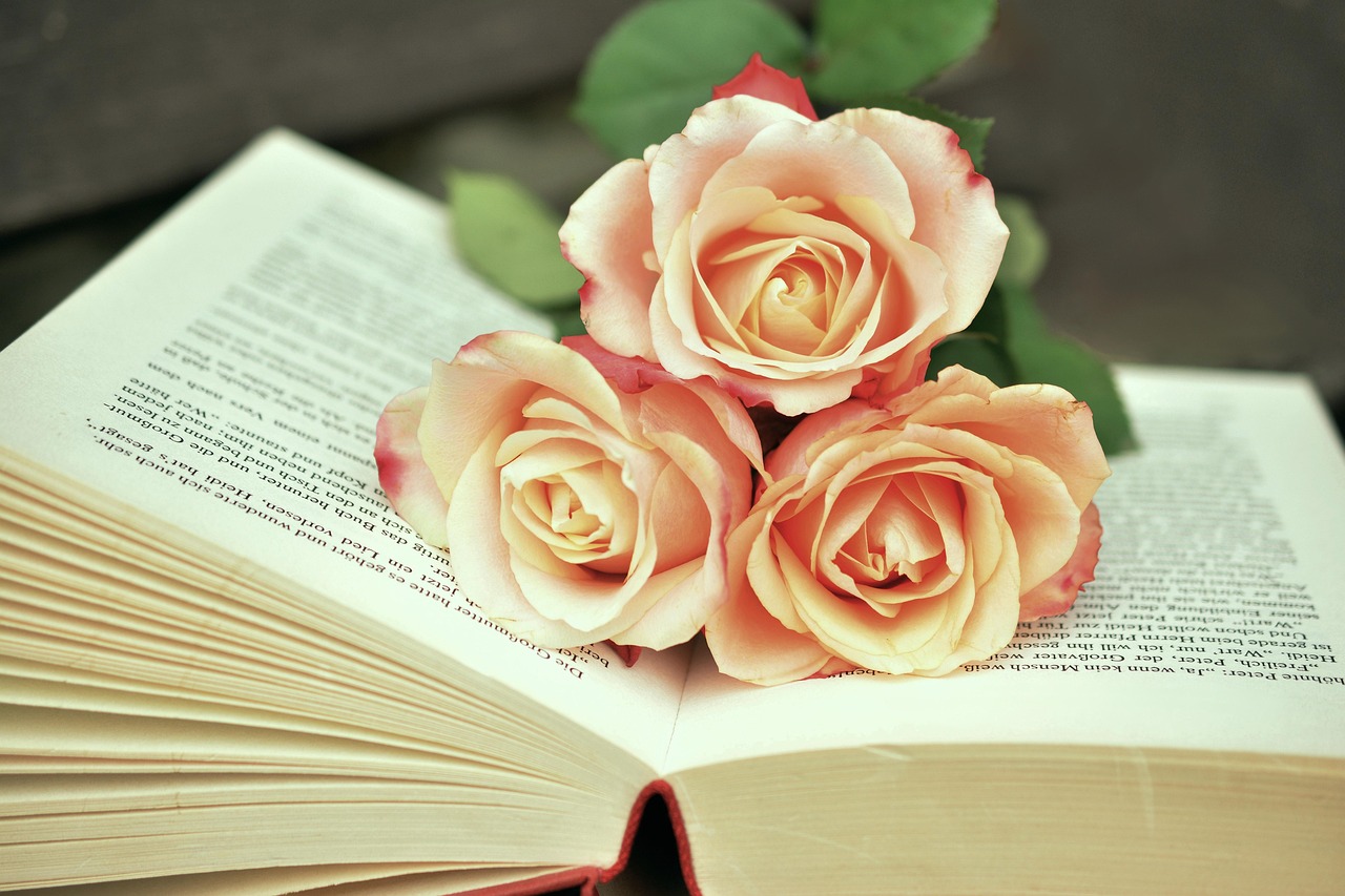 Wattpad sites: As melhores plataformas alternativas para ler histórias