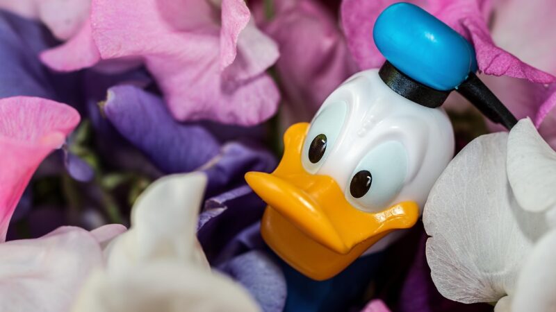 Personagem Pixar: Os mais marcantes e curiosidades que poucos sabem