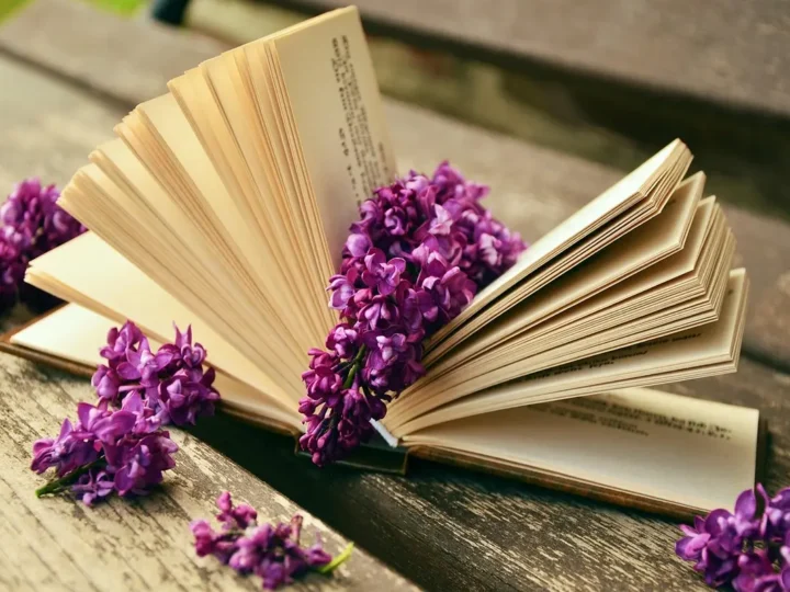 Livro brochura ou capa dura: qual escolher?